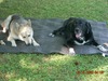 Linda Childers Photo 18