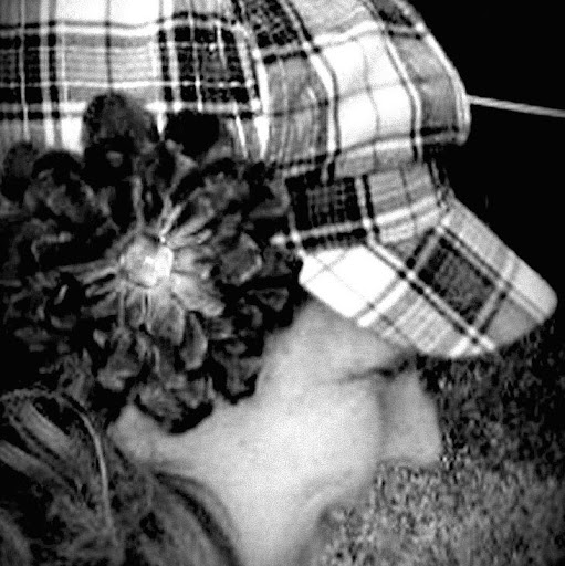 Lisa Sawyer Photo 10