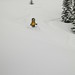 Conrad Barrett Photo 15