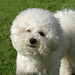 Joy Matlock Photo 1