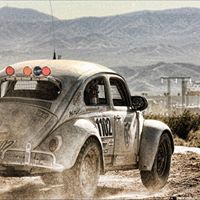 Richard Nichols Photo 18