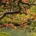 Lisa Swaney Photo 22