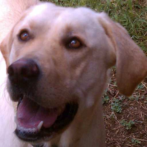 Doug Garrison Photo 10