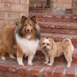 Judy Faust Photo 14