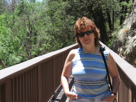 Cindy Potter Photo 19