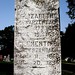 Elizabeth Geyer Photo 14