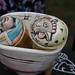 Linda Gossett Photo 18