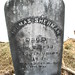 Thomas Sherman Photo 13
