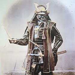Jackson Archer Photo 16