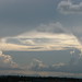 Dawn Ward Photo 26