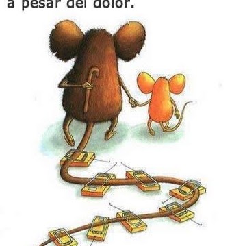 Luz Barreto Photo 12