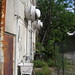 Roy Burns Photo 42