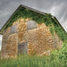 Clayton Stone Photo 18