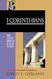 1 Corinthians (Baker Exegetical Commentary On The New Testament)