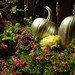 Rose Mills Photo 23