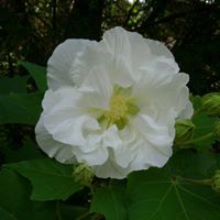 Mary Easterling Photo 32