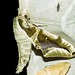 Sai Liu Photo 8