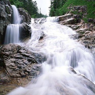 Sandra Carlson Photo 34