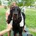 Cheryl Groves Photo 19