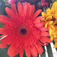 Sue Litz Photo 9