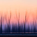 Jerry Combs Photo 6