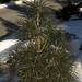 Cynthia Bloom Photo 14