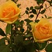 Jean Ferrell Photo 11