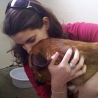 Sarah Baumeister Photo 24