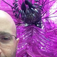 David Rosen Photo 72