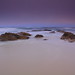 Pamela Grove Photo 10