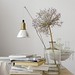 John Dummer Photo 11