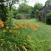 Lillie Mccabe Photo 7