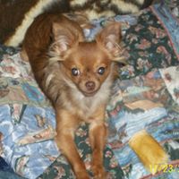 Angela Stoddard Photo 26