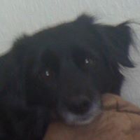 Minnie Warren Photo 11