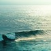 Summer Beach Photo 12
