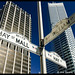 William Hays Photo 12