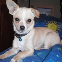 Brenda Mather Photo 21