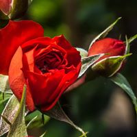 Mathilde Schwartz Photo 3