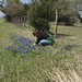 Norma Hill Photo 19