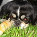 Winston Chew Photo 16