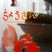 San Chou Photo 8