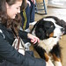 Oliver Sharp Photo 6
