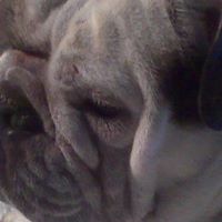 Connie Hinson Photo 8