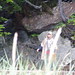 Kristin Wolfe Photo 35
