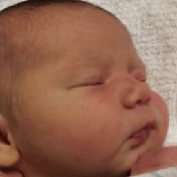 Jason Boswell Photo 12