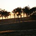 Dawn Nelson Photo 25