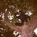 Jody Nolan Photo 9