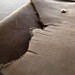 Jill Harrell Photo 17