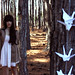 Ruby Crane Photo 7