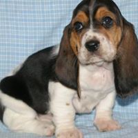 Ginger Mcneely Photo 4